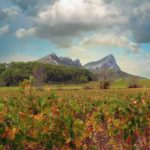 Pic Saint-Loup, site naturel entre randonnées et vignobles - Grizette