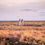 Que faire en Camargue pour un week-end en hors saison _