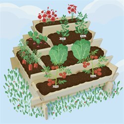 kit premier potager pour enfants