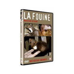 documentaire pour enfant