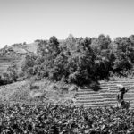 photographe-toulon-var-portrait-enfant-voyage-paysage-reportage-Thailande-12
