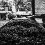 thediplomat_2016-05-04_12-16-31-790x443