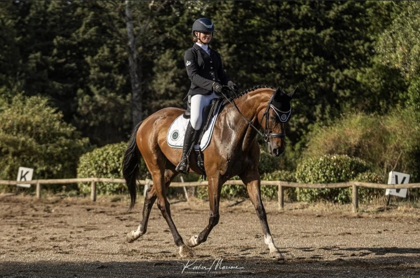 le dressage