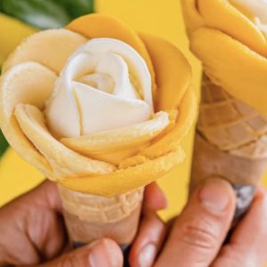 cone rose