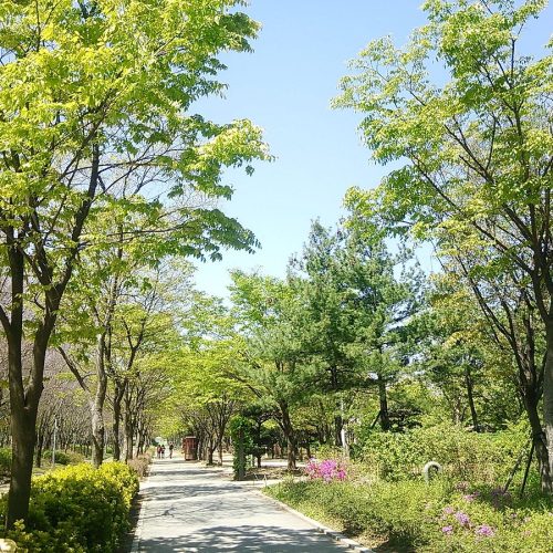 dsc-4703-largejpg